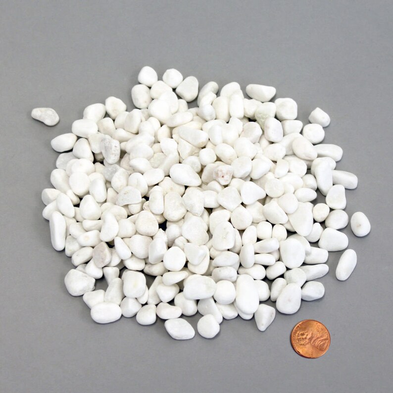 Small White River Rocks Filler for Home Decor and Floral Etsy