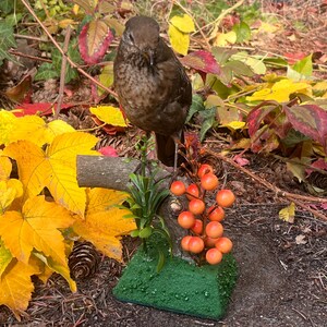 Op de afbeelding: Een bruine vogel zit op een kleine tak met oranje bessen en groene bladeren. De vogel is omgeven door kleurrijke herfstbladeren in tinten geel, rood en groen, wat een natuurlijke scène creëert.