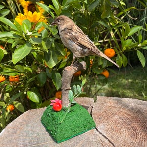 Peut inclure: Une sculpture détaillée d'un petit oiseau perché sur une branche, sur fond de verdure et de fruits oranges. L'oiseau a des plumes brunes et beiges. La branche repose sur une base verte avec une fleur rouge.
