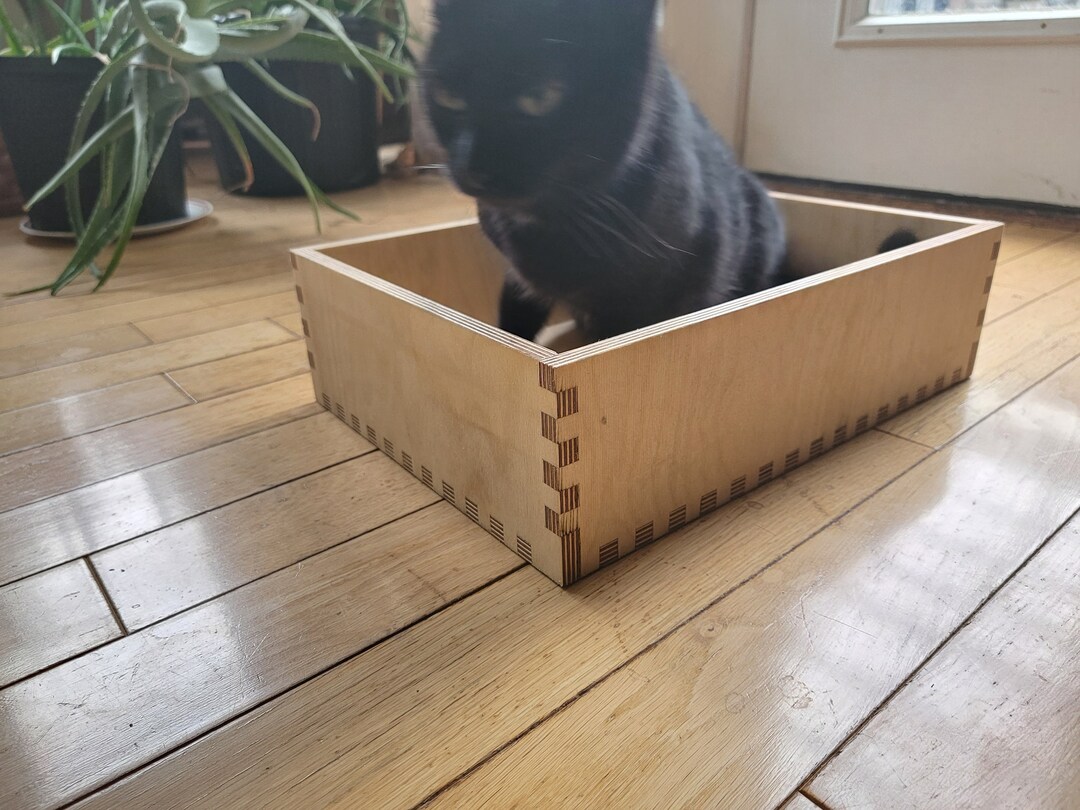 Desktop Cat Bed for Shelf, Corner, Chair and Floor Nap Time Etsy