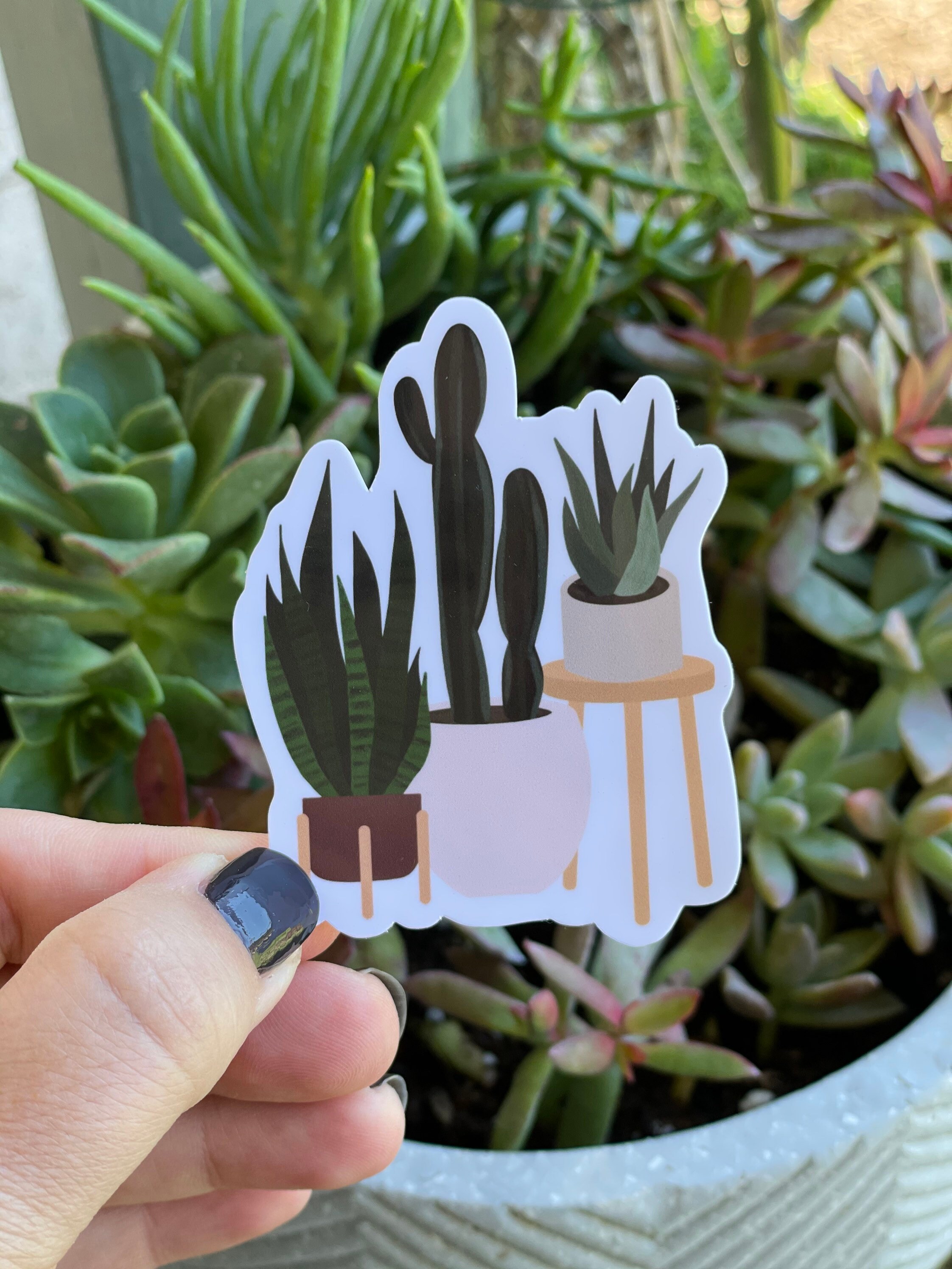 Houseplant Trio Water Resistant Sticker Water Bottle Sticker Etsy