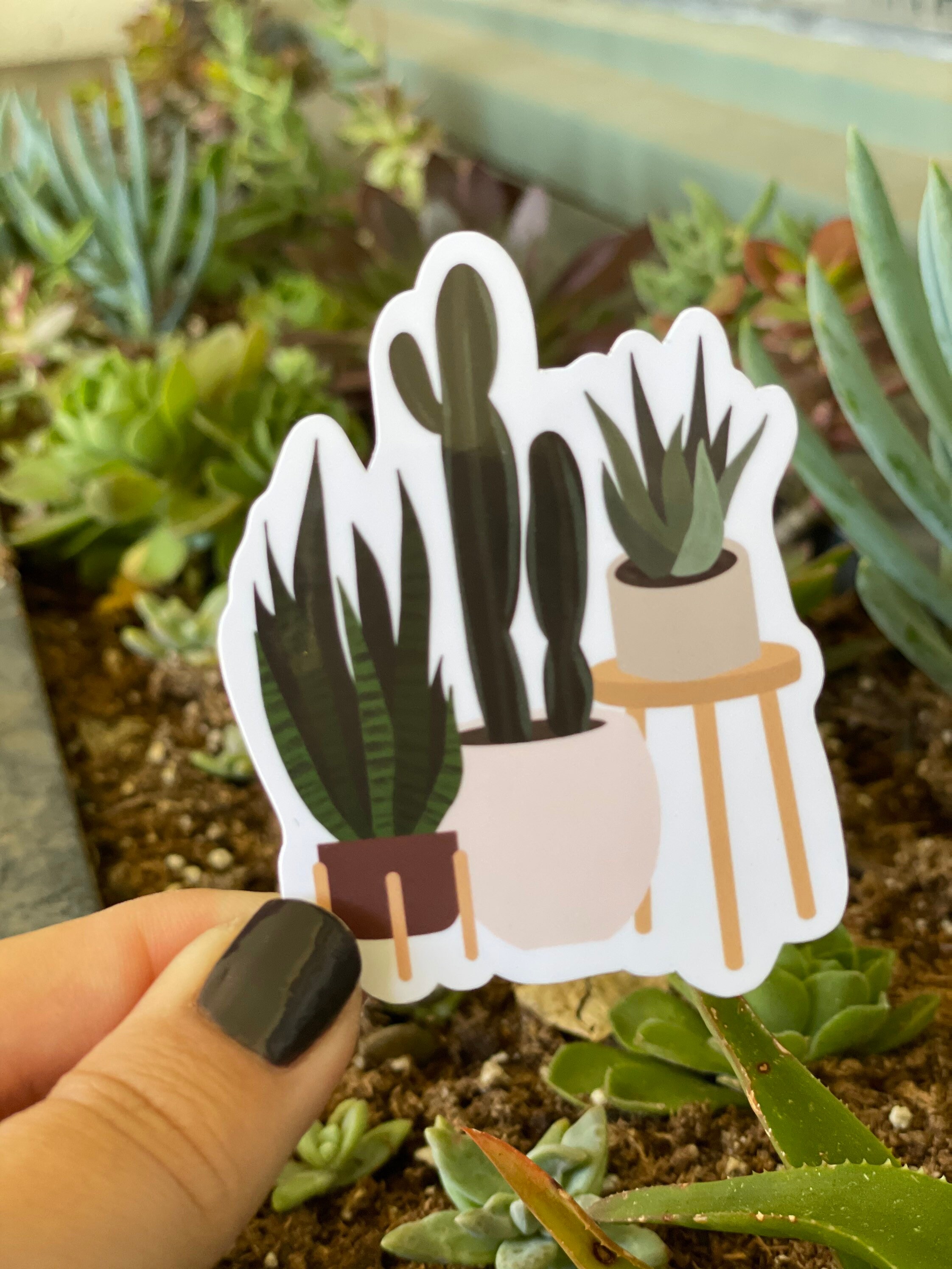 Houseplant Trio Water Resistant Sticker Water Bottle Sticker Etsy UK