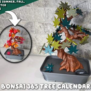 Bonsai 365 Tree Calendar | Japanese Maple Calendar for your Desk Set Cute Themed Adorable Fridge Magnets ForgeCore Functional Decor image 1