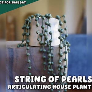 3D Printed String Of Pearls Plant | Articulating Fake HousePlant For People Who Can't Keep House Plants Alive Decor Expandable & Spinny Pot image 1