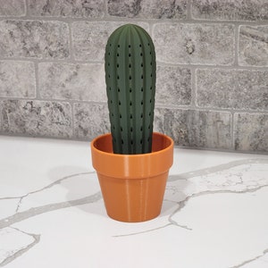 3D Printed Cactus Toothpick Dispenser House Plant Cacti HousePlant Hold 117 Round Tooth Picks For People Who Can't Keep Plants Alive Decor image 4