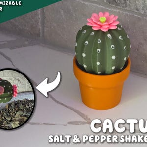 Cactus Salt and Pepper Shaker | Spikey Spices ForgeCore Instagram Tik Tok Viral Functional 3D Printed Plants & Planters Kitchen Home Daily image 1
