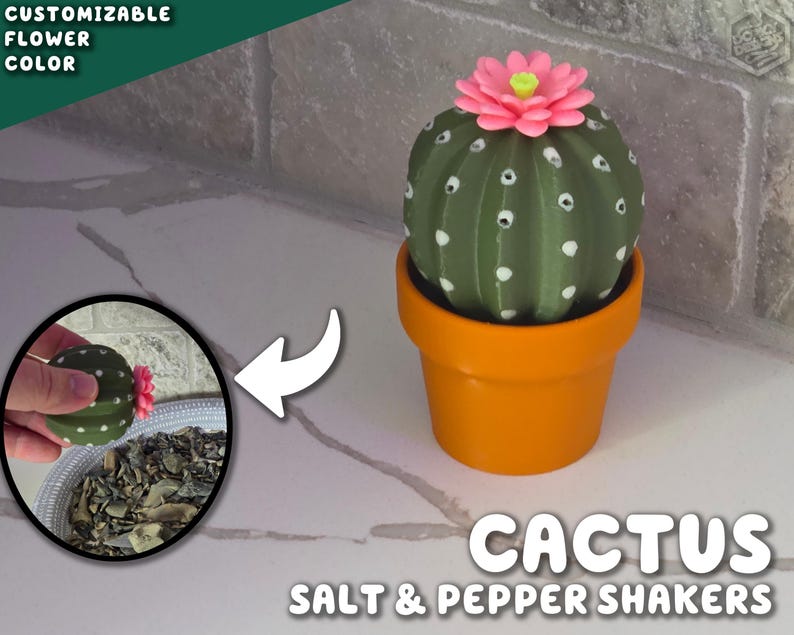 Cactus Salt and Pepper Shaker | Spikey Spices ForgeCore Instagram Tik Tok Viral Functional 3D Printed Plants & Planters Kitchen Home Daily image 1