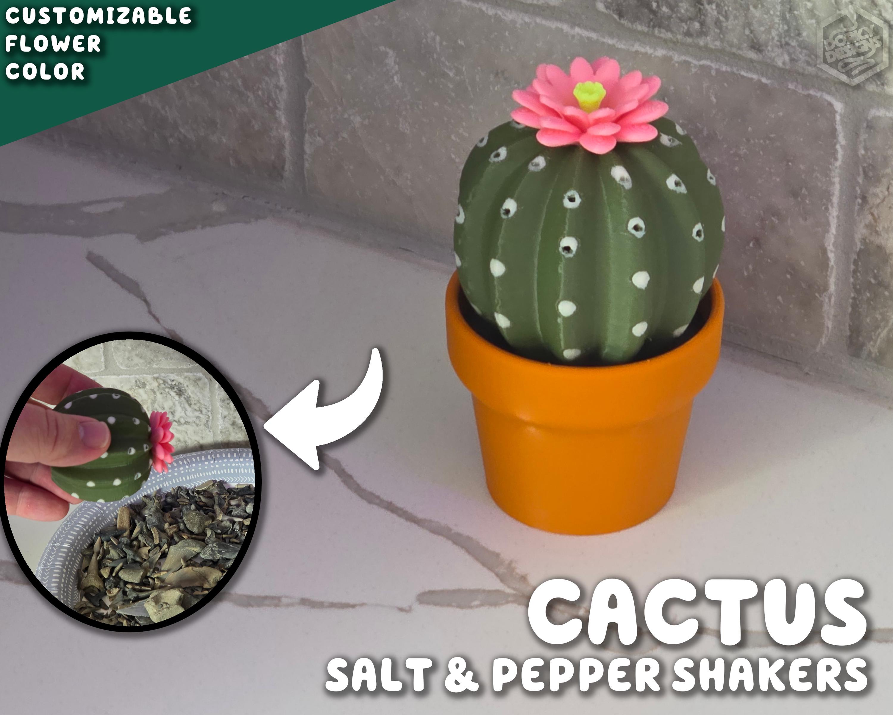 Cactus Salt and Pepper Shaker | Spikey Spices Forgecore Instagram