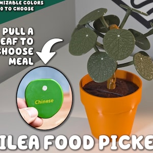 Zbieracz jedzenia Pilea | Chińskie pieniądze, roślina, decydent obiadowy ForgeCore, dekoracja kuchenna, liść, magnes