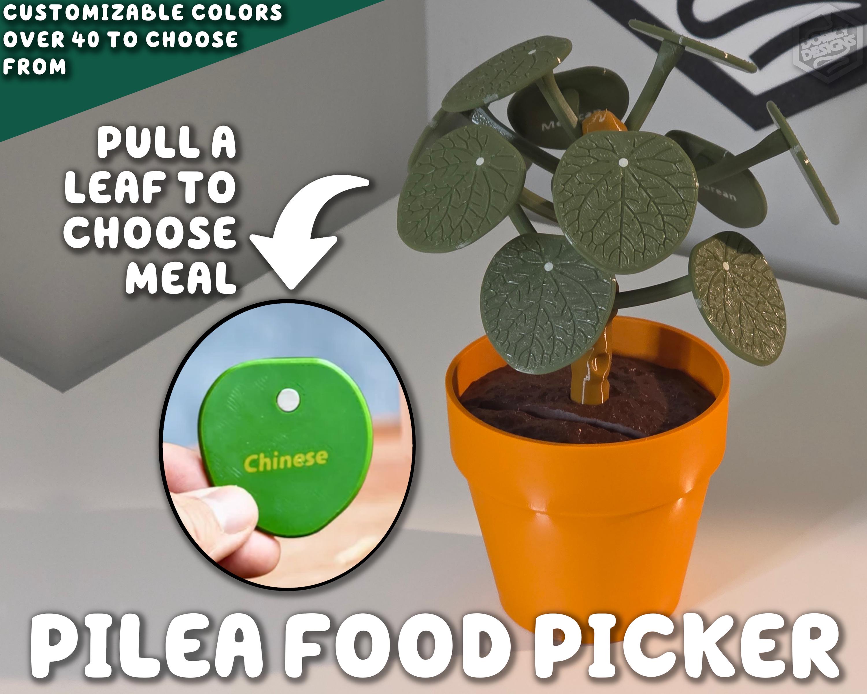 buy philodendron brandtianum Philodendron brandtianum (young plant)
