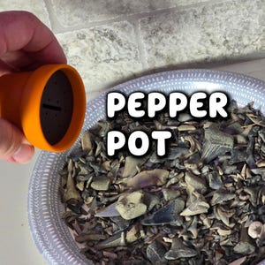 Cactus Salt and Pepper Shaker | Spikey Spices ForgeCore Instagram Tik Tok Viral Functional 3D Printed Plants & Planters Kitchen Home Daily image 3