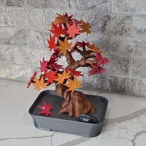 Bonsai 365 Tree Calendar | Japanese Maple Calendar for your Desk Set Cute Themed Adorable Fridge Magnets ForgeCore Functional Decor image 3