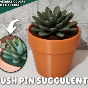 Push Pin Succulent 3D Printed Plant | Each Stem Is A Push Pin Fake HousePlant For People Who Can't Keep House Plants Alive Decor