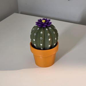 Cactus Salt and Pepper Shaker | Spikey Spices ForgeCore Instagram Tik Tok Viral Functional 3D Printed Plants & Planters Kitchen Home Daily image 7