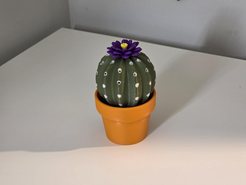 Cactus Salt and Pepper Shaker | Spikey Spices ForgeCore Instagram Tik Tok Viral Functional 3D Printed Plants & Planters Kitchen Home Daily image 7