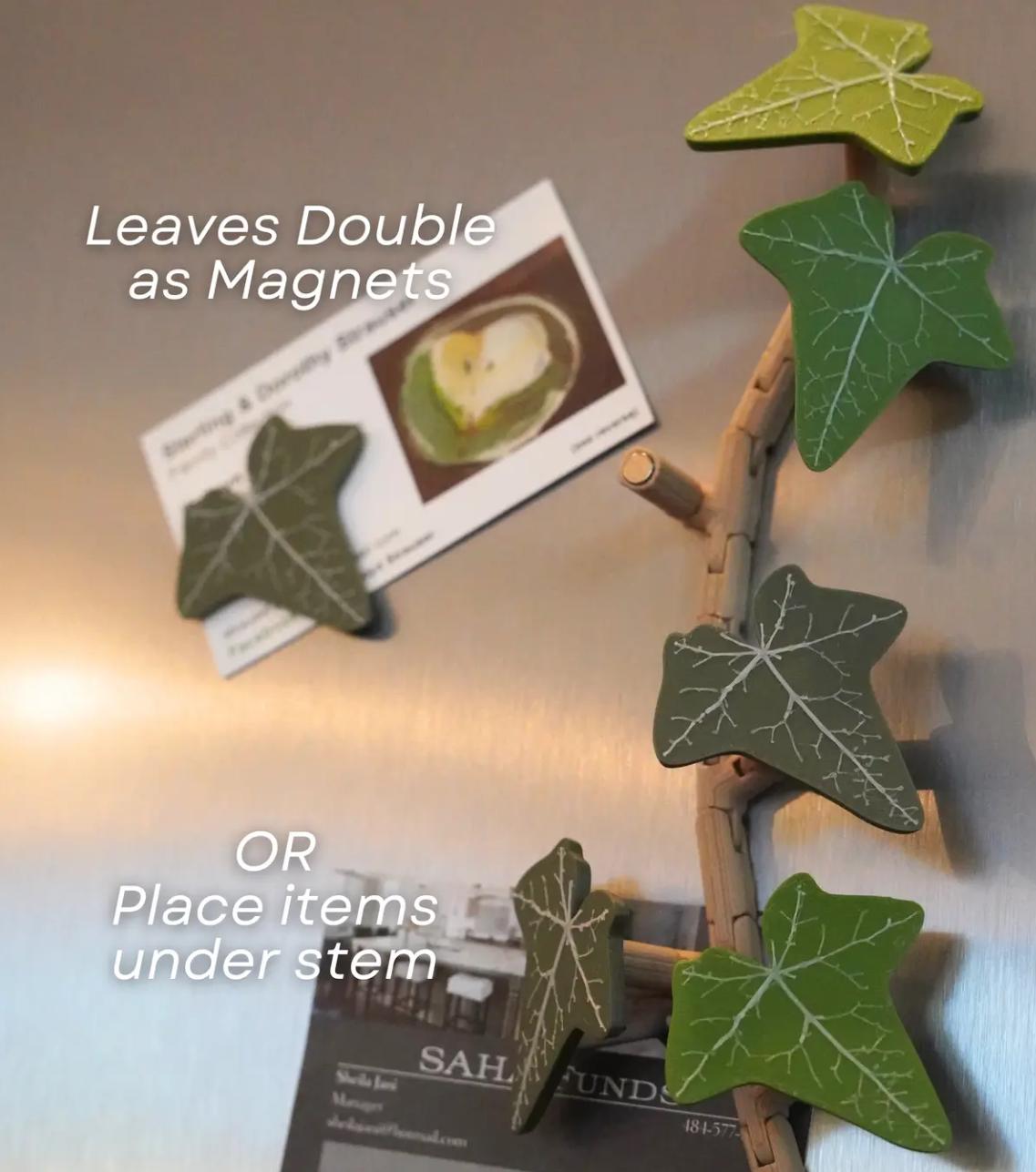 Magnetivy - English Ivy Fridge Magnet with Articulating Stems | ForgeCore Home Kitchen Refrigerator Decor Ivy Vine Leaf Magnets Magnetic