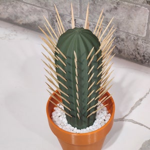 3D Printed Cactus Toothpick Dispenser House Plant Cacti HousePlant Hold 117 Round Tooth Picks For People Who Can't Keep Plants Alive Decor image 2