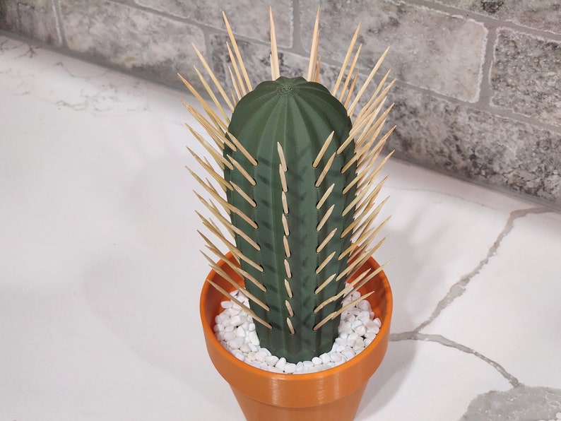 3D Printed Cactus Toothpick Dispenser House Plant Cacti HousePlant Hold 117 Round Tooth Picks For People Who Can't Keep Plants Alive Decor image 2