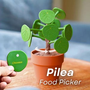 Pilea Food Picker | The Chinese Money Plant Dinner Decider ForgeCore Kitchen Decor Leaf Magnetic
