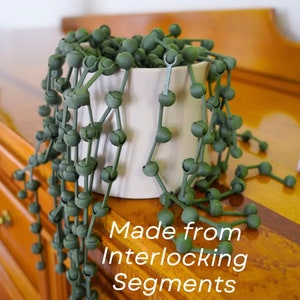 May include: A green string of beads made from interlocking segments, hanging from a white ceramic pot. The beads are arranged in a cascading pattern, creating a unique and modern look.  Made from Interlocking Segments.