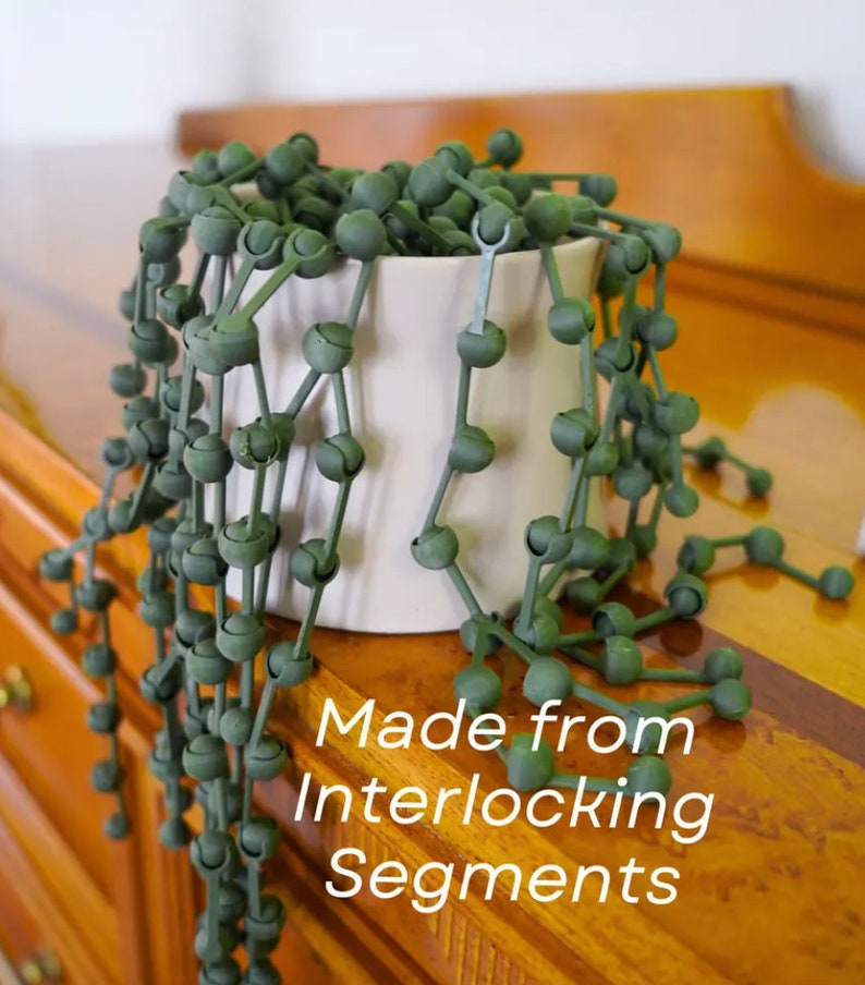 May include: A green string of beads made from interlocking segments, hanging from a white ceramic pot. The beads are arranged in a cascading pattern, creating a unique and modern look.  Made from Interlocking Segments.