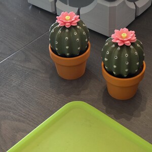 Cactus Salt and Pepper Shaker | Spikey Spices ForgeCore Instagram Tik Tok Viral Functional 3D Printed Plants & Planters Kitchen Home Daily image 8