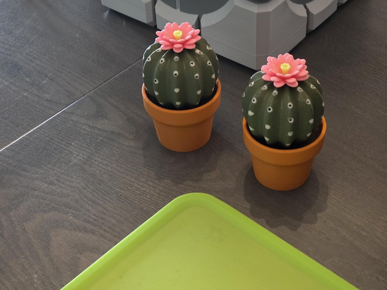 Cactus Salt and Pepper Shaker | Spikey Spices ForgeCore Instagram Tik Tok Viral Functional 3D Printed Plants & Planters Kitchen Home Daily image 8