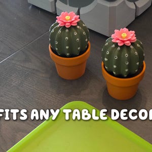 Cactus Salt and Pepper Shaker | Spikey Spices ForgeCore Instagram Tik Tok Viral Functional 3D Printed Plants & Planters Kitchen Home Daily image 6