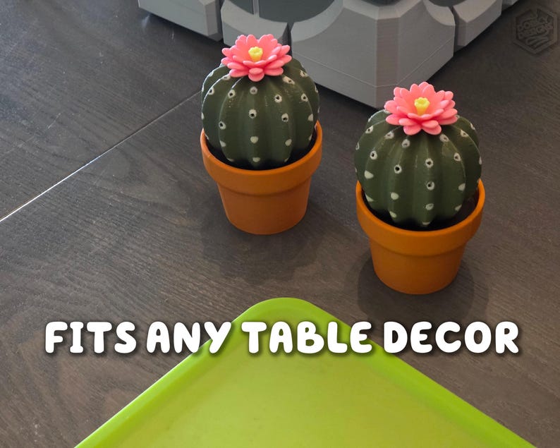 Cactus Salt and Pepper Shaker | Spikey Spices ForgeCore Instagram Tik Tok Viral Functional 3D Printed Plants & Planters Kitchen Home Daily image 6
