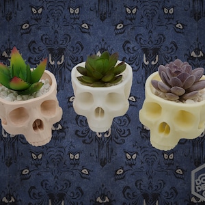 Skull Hanging Succulent Planter / Bowl