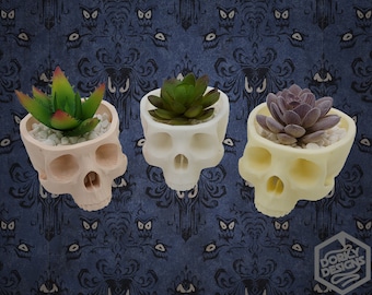 Skull Hanging Succulent Planter / Bowl