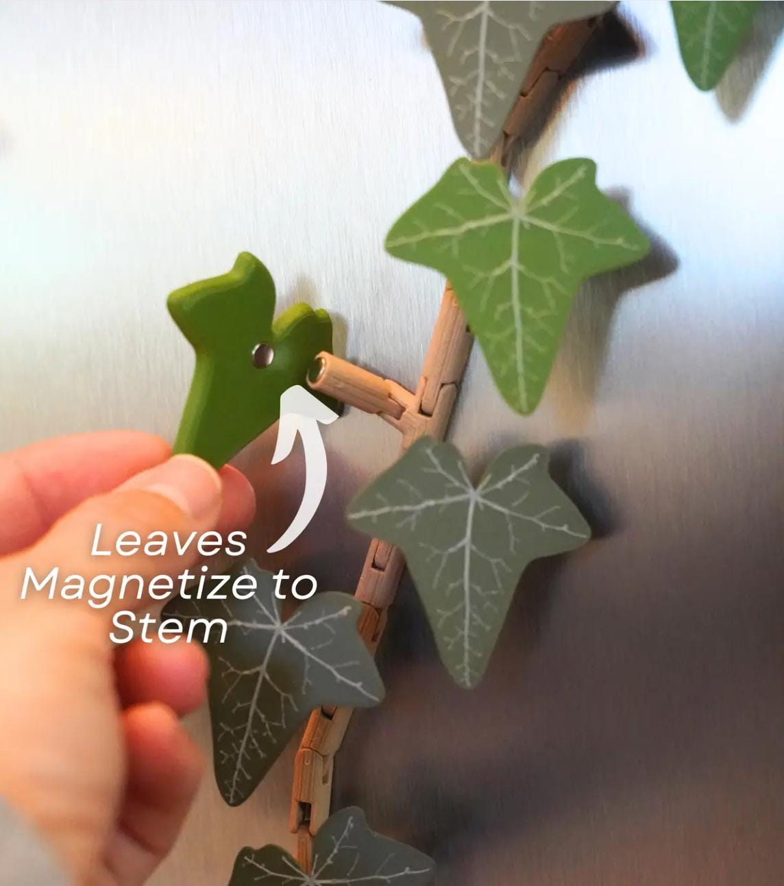 Magnetivy - English Ivy Fridge Magnet with Articulating Stems | ForgeCore Home Kitchen Refrigerator Decor Ivy Vine Leaf Magnets Magnetic