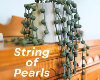 3D Printed String Of Pearls Plant | Articulating Fake HousePlant For People Who Can't Keep House Plants Alive Decor Expandable & Spinny Pot