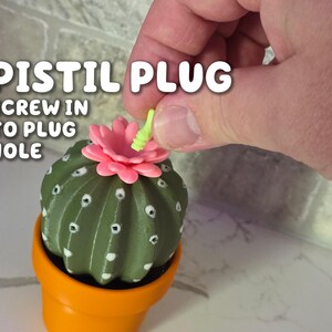Cactus Salt and Pepper Shaker | Spikey Spices ForgeCore Instagram Tik Tok Viral Functional 3D Printed Plants & Planters Kitchen Home Daily image 4