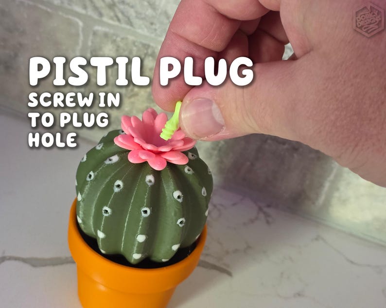 Cactus Salt and Pepper Shaker | Spikey Spices ForgeCore Instagram Tik Tok Viral Functional 3D Printed Plants & Planters Kitchen Home Daily image 4
