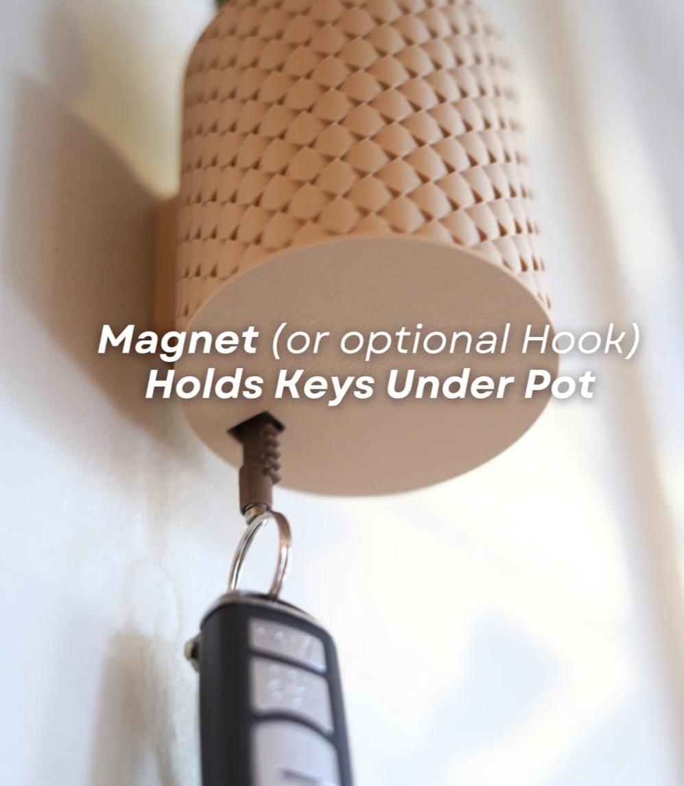 Cactikeys Cactus Key Hook | Blooming Flower Wall Mounted Key