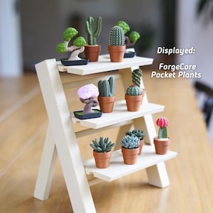 Display Stand & Fidgets- Small Display Shelf With 3 Tiers Intended for ...