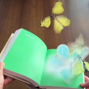 May include: An open book with a green cover and a yellow butterfly flying out of the pages. The butterfly is partially obscured by a white, blurry effect.