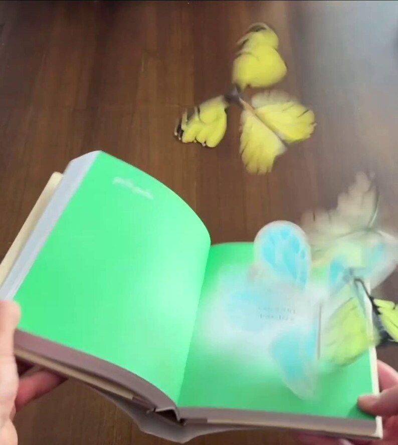 May include: An open book with a green cover and a yellow butterfly flying out of the pages. The butterfly is partially obscured by a white, blurry effect.