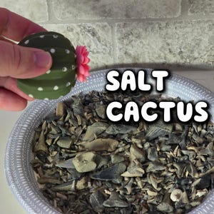 Cactus Salt and Pepper Shaker | Spikey Spices ForgeCore Instagram Tik Tok Viral Functional 3D Printed Plants & Planters Kitchen Home Daily image 2