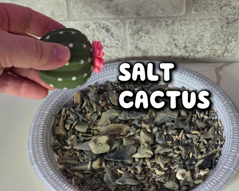 Cactus Salt and Pepper Shaker | Spikey Spices ForgeCore Instagram Tik Tok Viral Functional 3D Printed Plants & Planters Kitchen Home Daily image 2