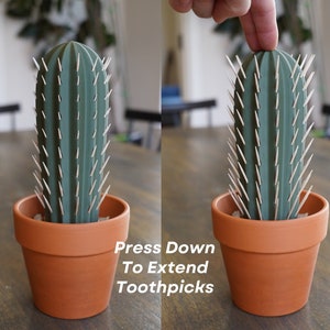 3D Printed Cactus Toothpick Dispenser House Plant Cacti HousePlant Hold 117 Round Tooth Picks For People Who Can't Keep Plants Alive Decor image 3