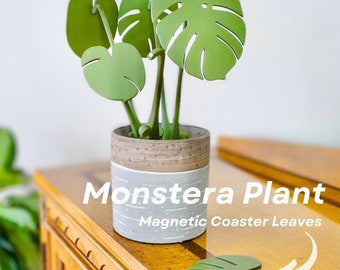 3D Printed House Plant With Magnetic Coaster Leaves | HousePlant Expandable Monstera Albo For People Who Can't Keep Plants Alive Decor