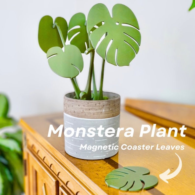 3D Printed House Plant With Magnetic Coaster Leaves HousePlant Expandable Monstera Albo For People Who Can't Keep Plants Alive Decor image 1