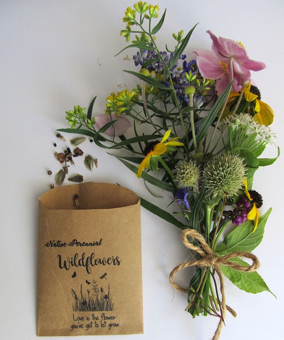 Wedding Favor Wildflower Seeds Organic Native Perennial Etsy
