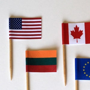 Miniature flag 3 inch height dollhouse accessories patriotic prop USA Europe Canada Ukraine 4 of July independence day celebration memorial