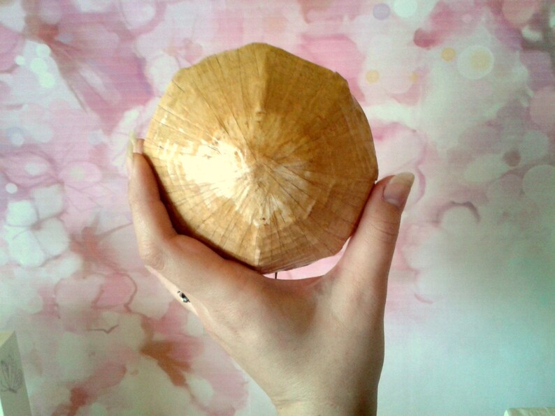 Miniature Ichimegasa straw hat with koji traditional Japanese Etsy