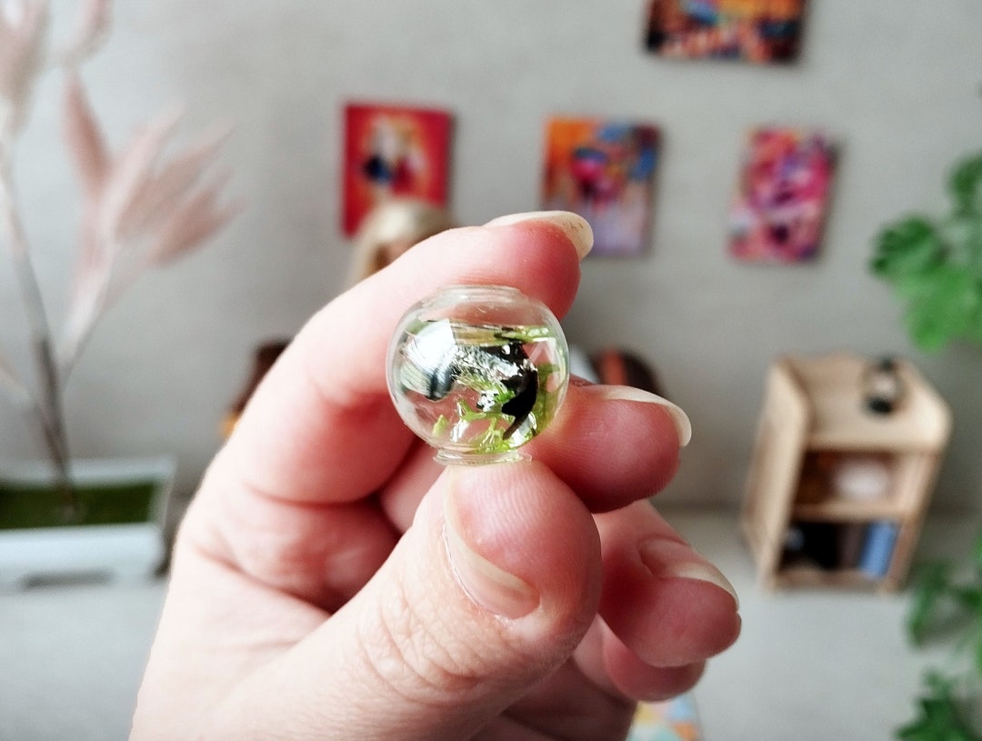 Miniature Goldfish Aquarium, Dollhouse Fish Tank (0.7 Inch) - Etsy