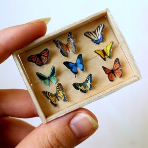 Miniature butterfly display case Dollhouse accessories wood box frame 9 mounted butterflies wings up 1:6 scale BJD doll decor monarch museum