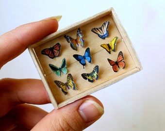 Miniature butterfly display case Dollhouse accessories wood box frame 9 mounted butterflies wings up 1:6 scale BJD doll decor monarch museum